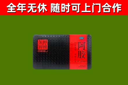 五原回收阿胶