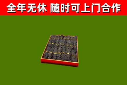 五原回收海参